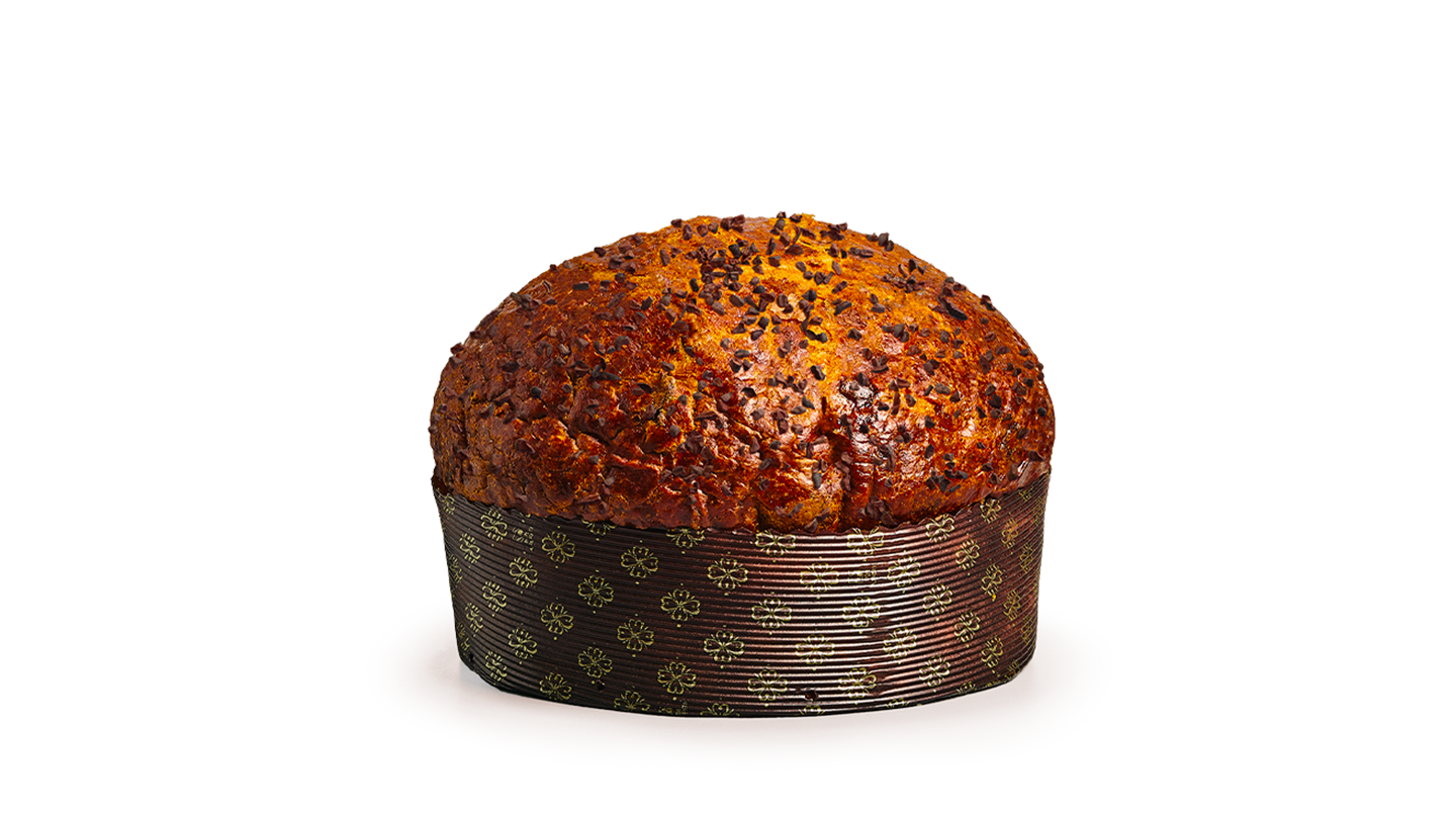 Panettone z morelami i gorzką czekoladą